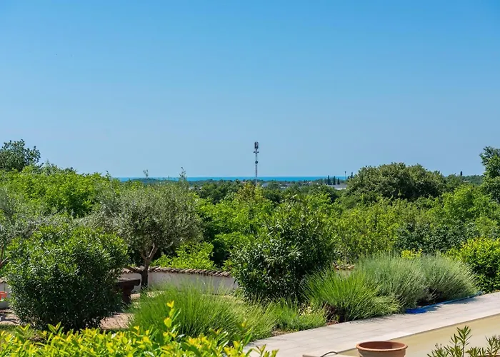 Villa Oliva With Private Pool *